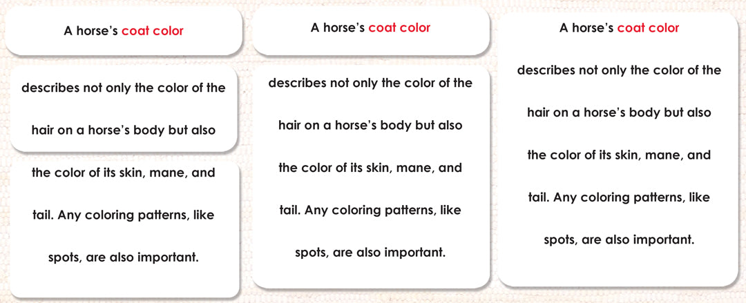 Horses (Coat Colors) Definition Cards - Maitri Learning