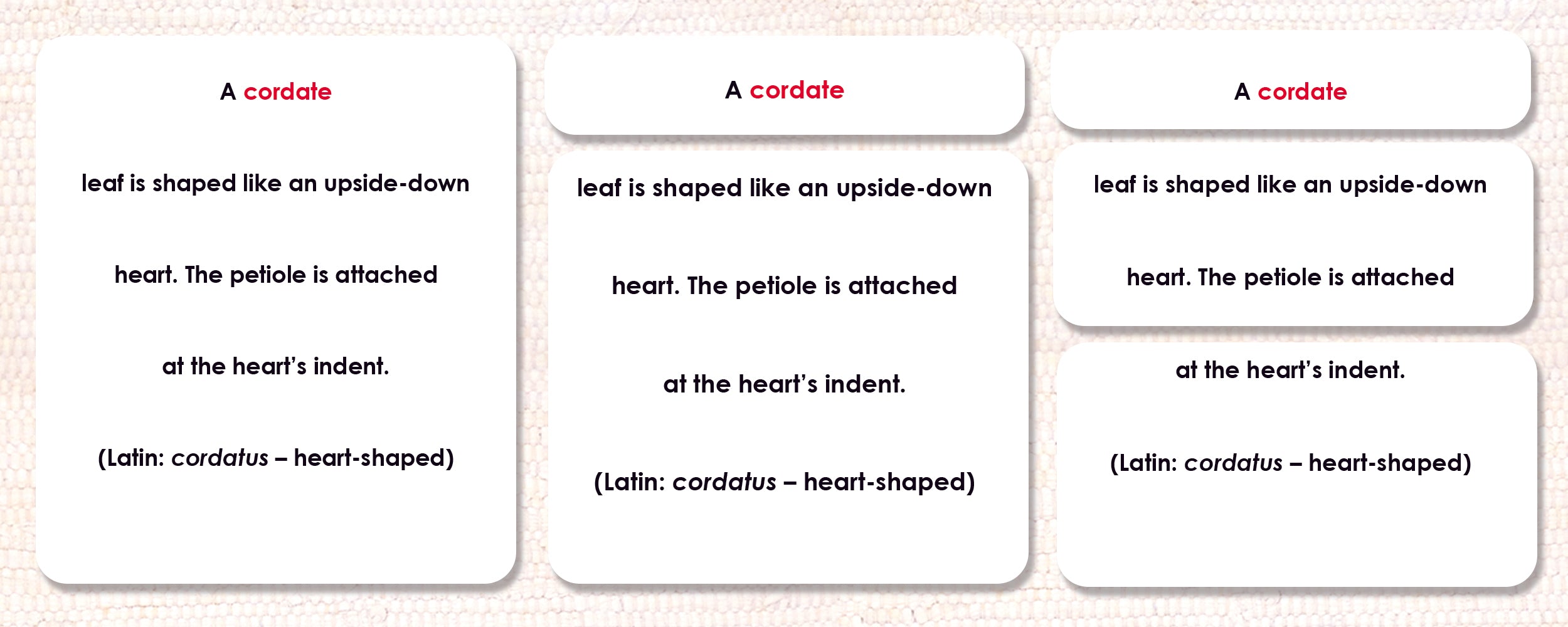 Leaf Shapes (Botany Cabinet) Definitions - Maitri Learning