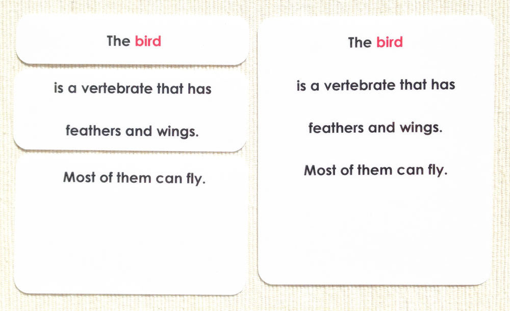 Imperfect "Parts of" the Bird Definitions - Maitri Learning