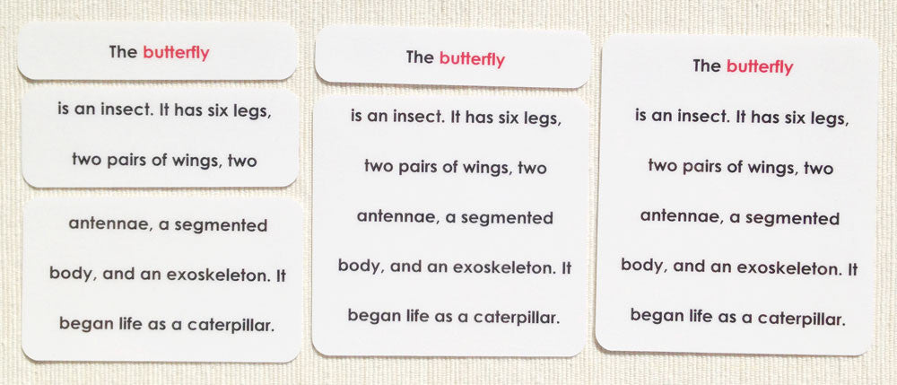 Invertebrates Definition Card Set - Maitri Learning