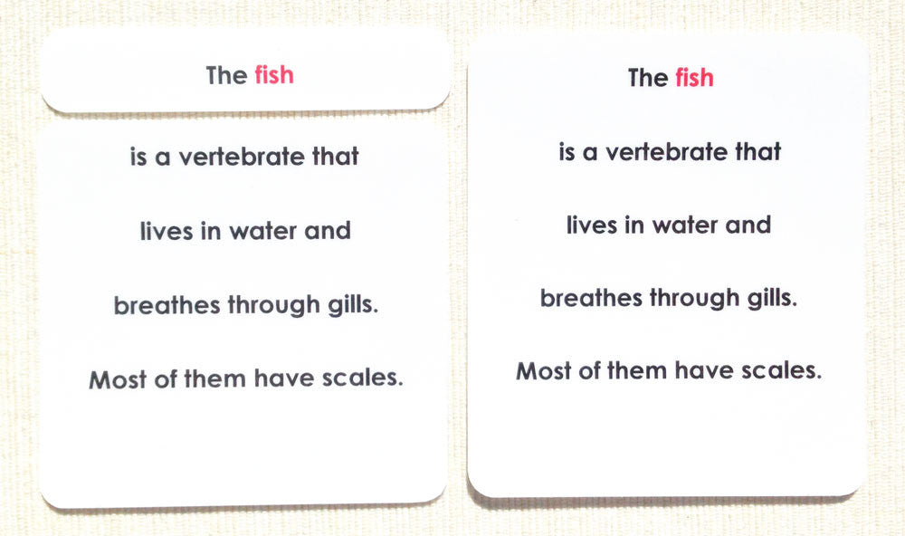 "Parts of" the Fish Definitions - Maitri Learning