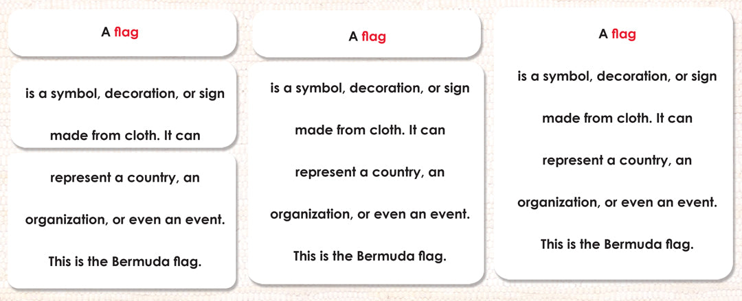 Parts of the Flag Book & Card Set - Maitri Learning