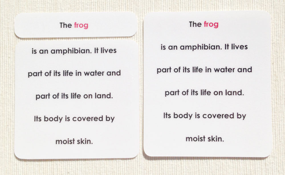 "Parts of" the Frog Definitions - Maitri Learning