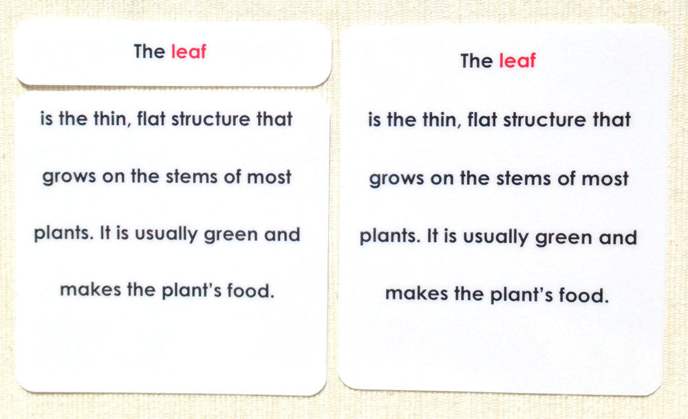 Imperfect "Parts of" the Leaf Definitions - Maitri Learning