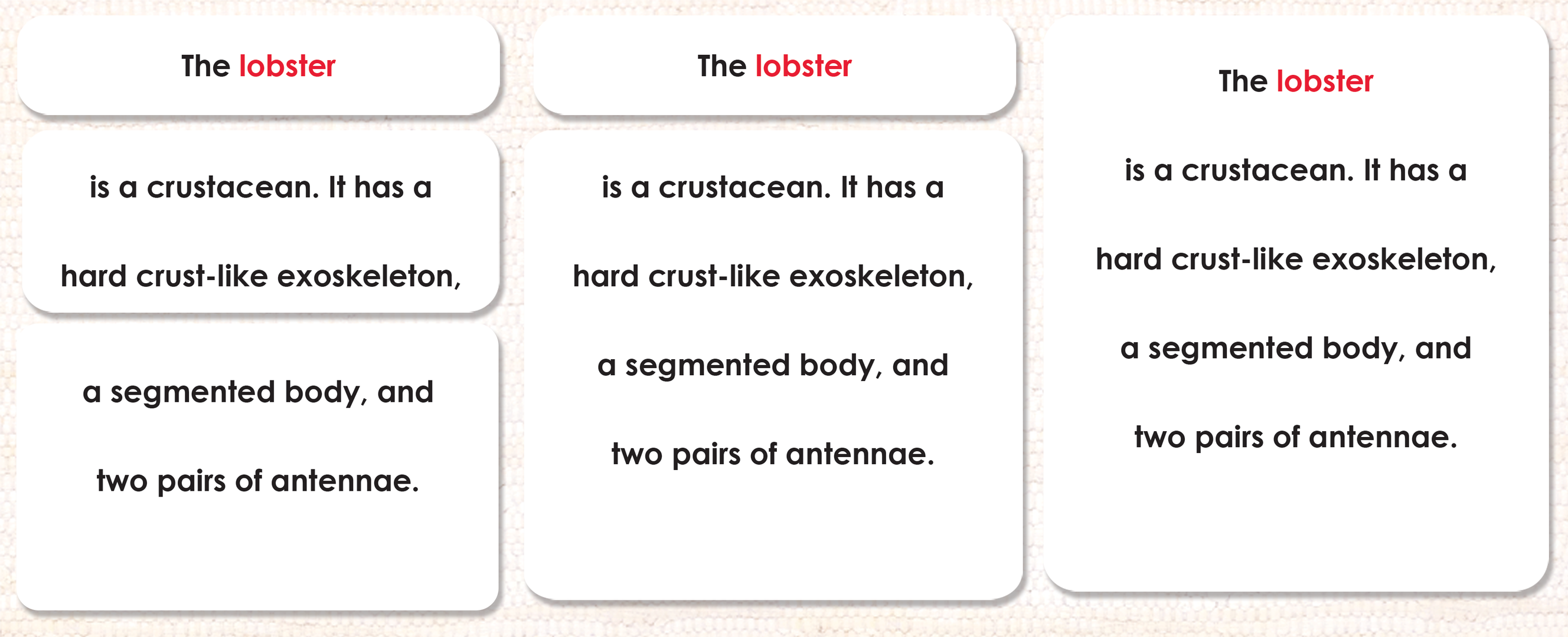 Parts of the Lobster Book & Card Set - Maitri Learning
