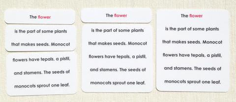 Botany Definition Card Set - Maitri Learning