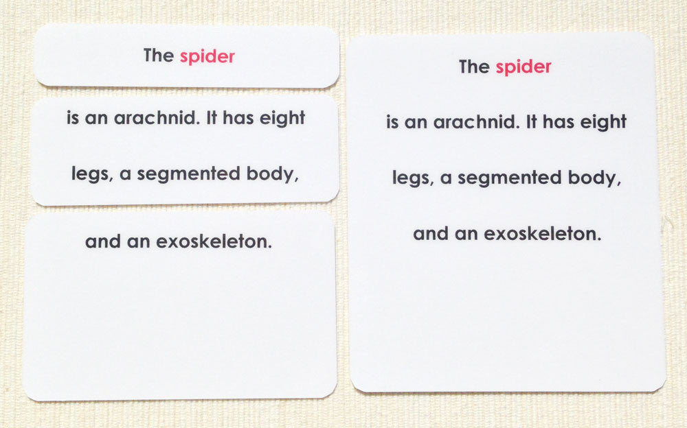 "Parts of" the Spider Definitions - Maitri Learning