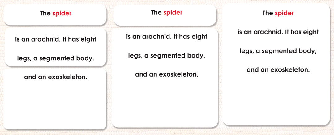 Parts of the Spider Definitions - Maitri Learning