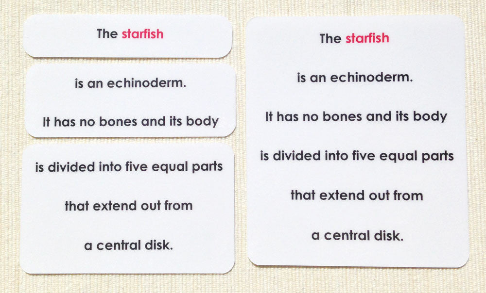 "Parts of" the Sea Star Definitions - Maitri Learning