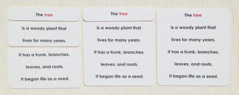Botany Definition Card Set - Maitri Learning
