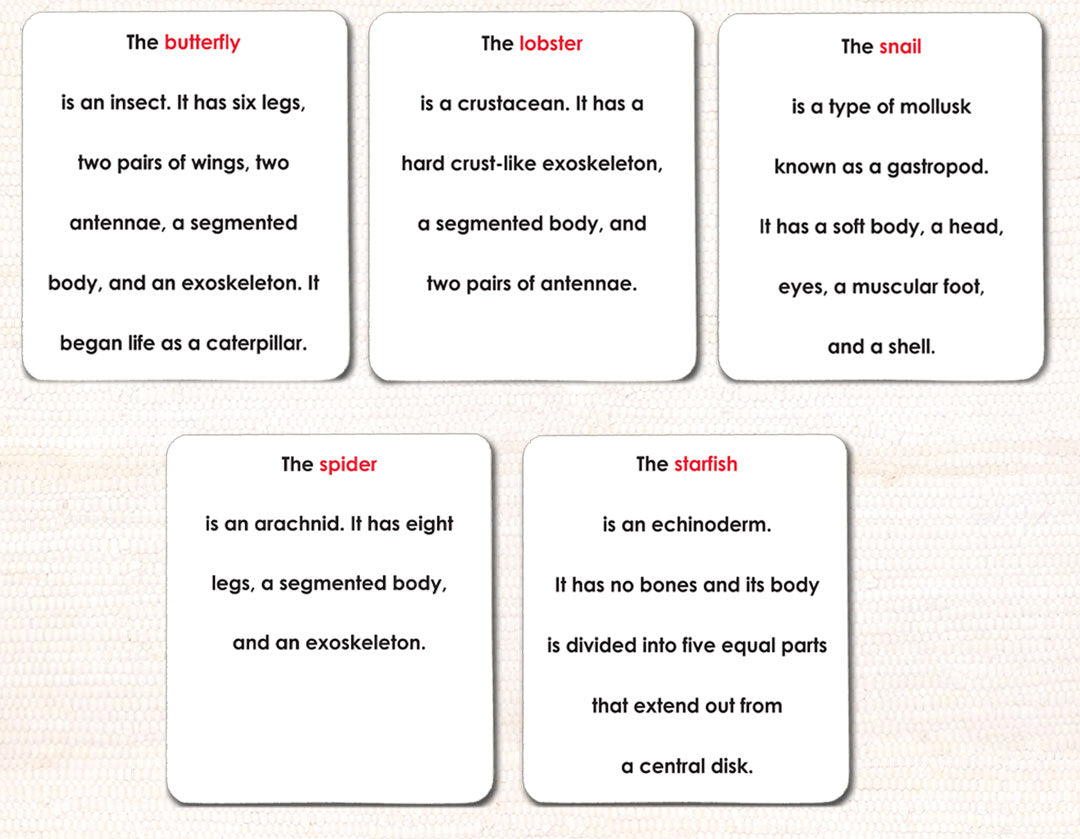 Invertebrates Definition Card Set - Maitri Learning