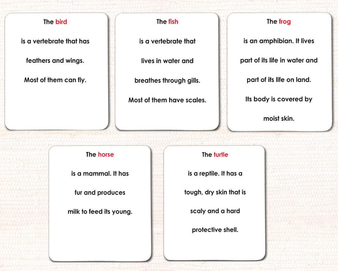 Imperfect Vertebrates Definition Card Set - Maitri Learning
