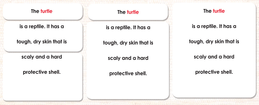 Imperfect Vertebrates Definition Card Set - Maitri Learning
