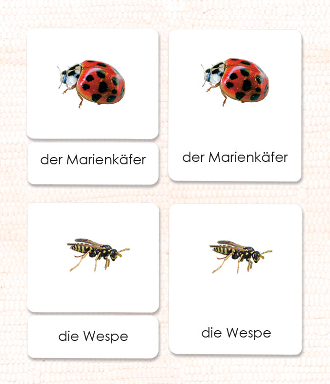 German Insects 3-Part Reading - Maitri Learning