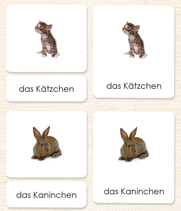 German Pets 3-Part Reading - Maitri Learning