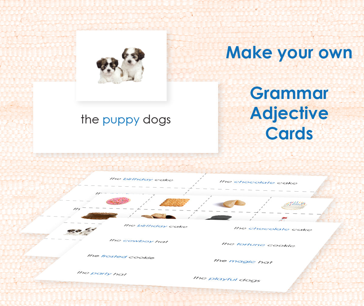 Grammar Step 2: The Adjective 1 Digital - Maitri Learning