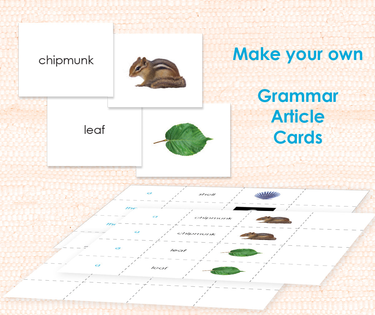 Grammar Step 1: The Article Digital - Maitri Learning