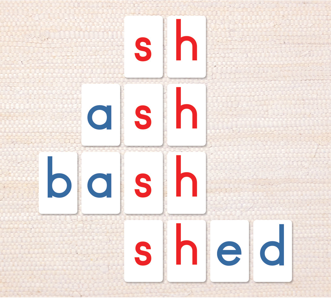Blue Print Movable Alphabet - Maitri Learning