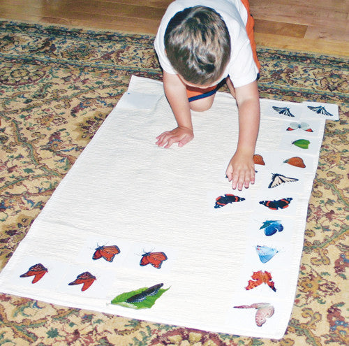 Butterflies Matching - Maitri Learning