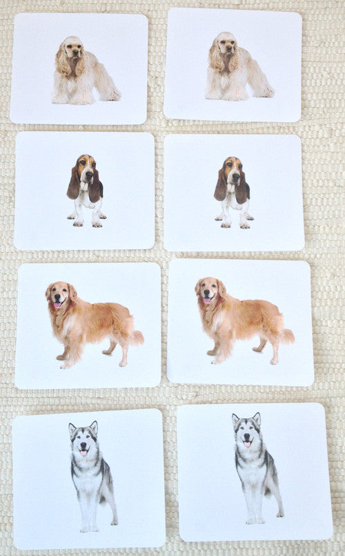 Dogs Matching - Maitri Learning