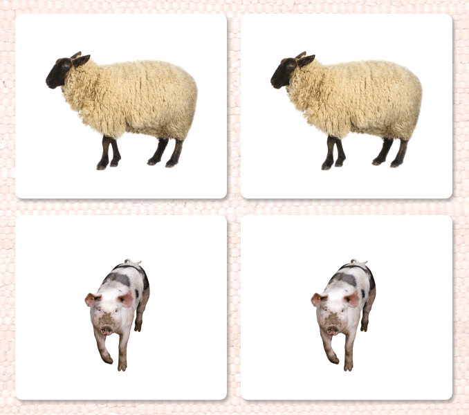 Farm Animals (Adults) Matching - Maitri Learning