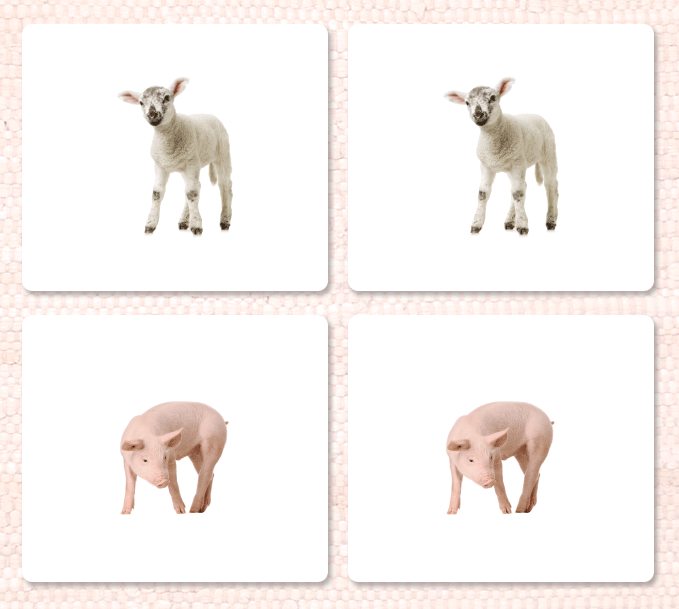 Farm Animals (Juvenile) Matching - Maitri Learning