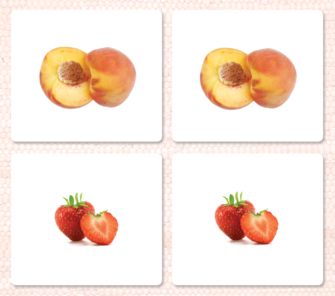 Fruit Matching - Maitri Learning
