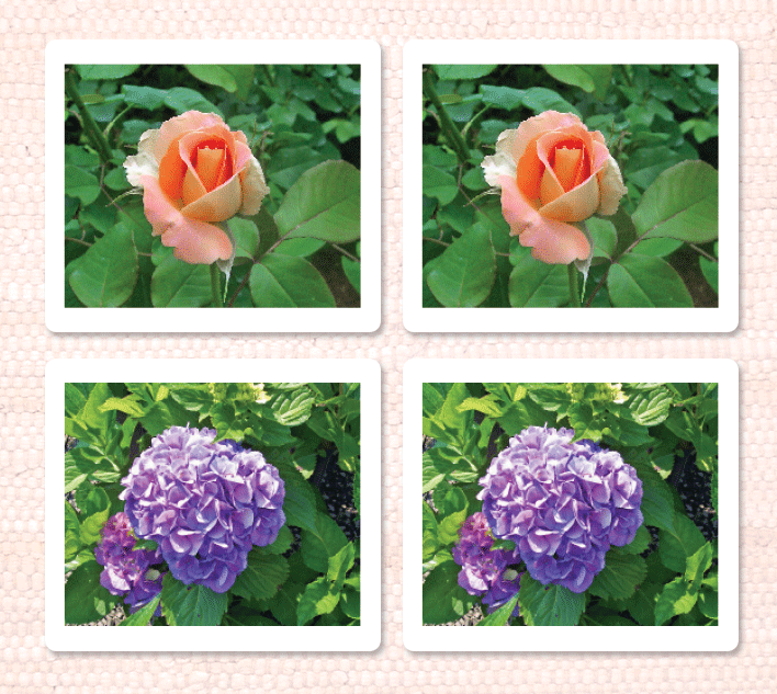 Garden Flowers Matching - Maitri Learning