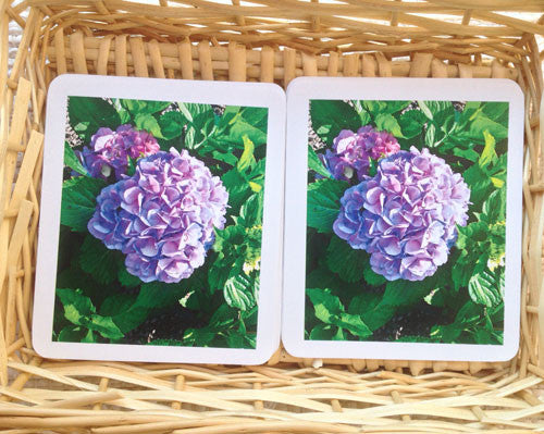 Garden Flowers Matching - Maitri Learning