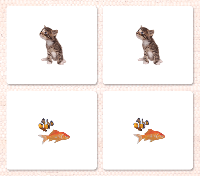 Pets Matching - Maitri Learning