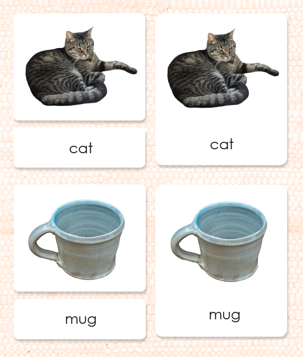 Phonics activities CVC words: Level 1 Maitri Learning