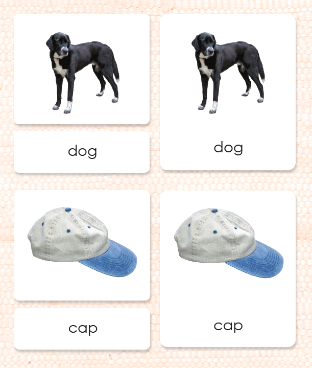 Phonics activities CVC words: Level 1 Maitri Learning
