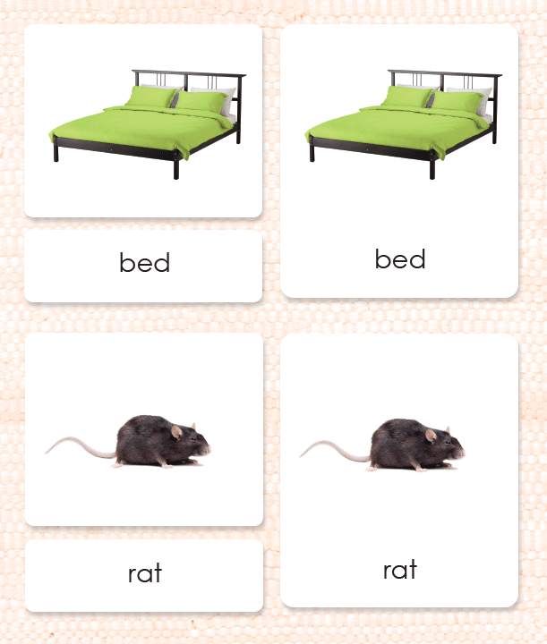Phonics activities CVC words: Level 1 Maitri Learning