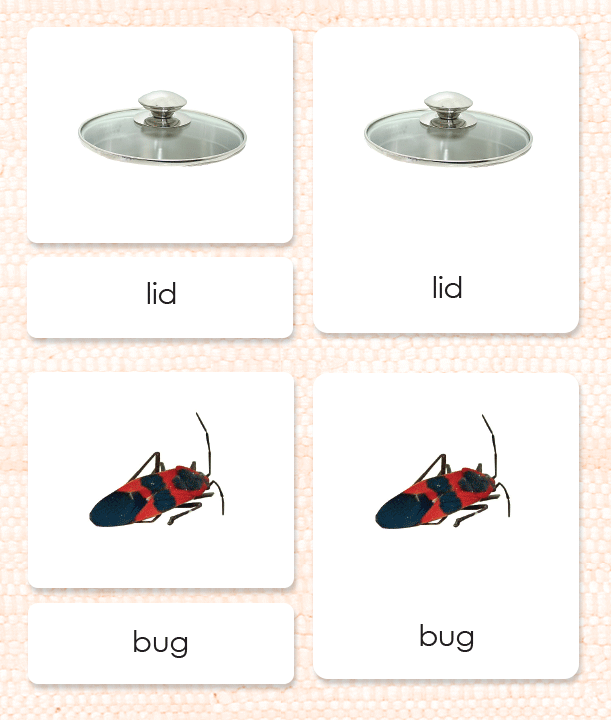 Phonics activities CVC words: Level 1 Maitri Learning