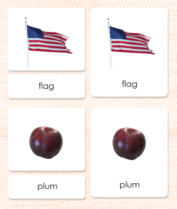 Phonetic Level 2C - Maitri Learning