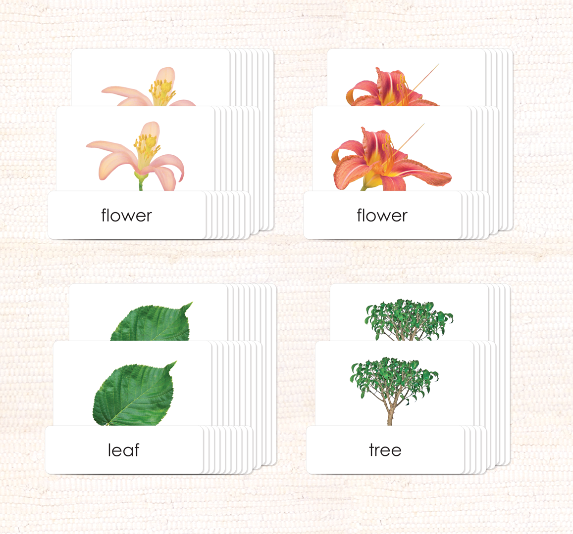 Imperfect Botany "Parts of" 3-Part Set - Maitri Learning