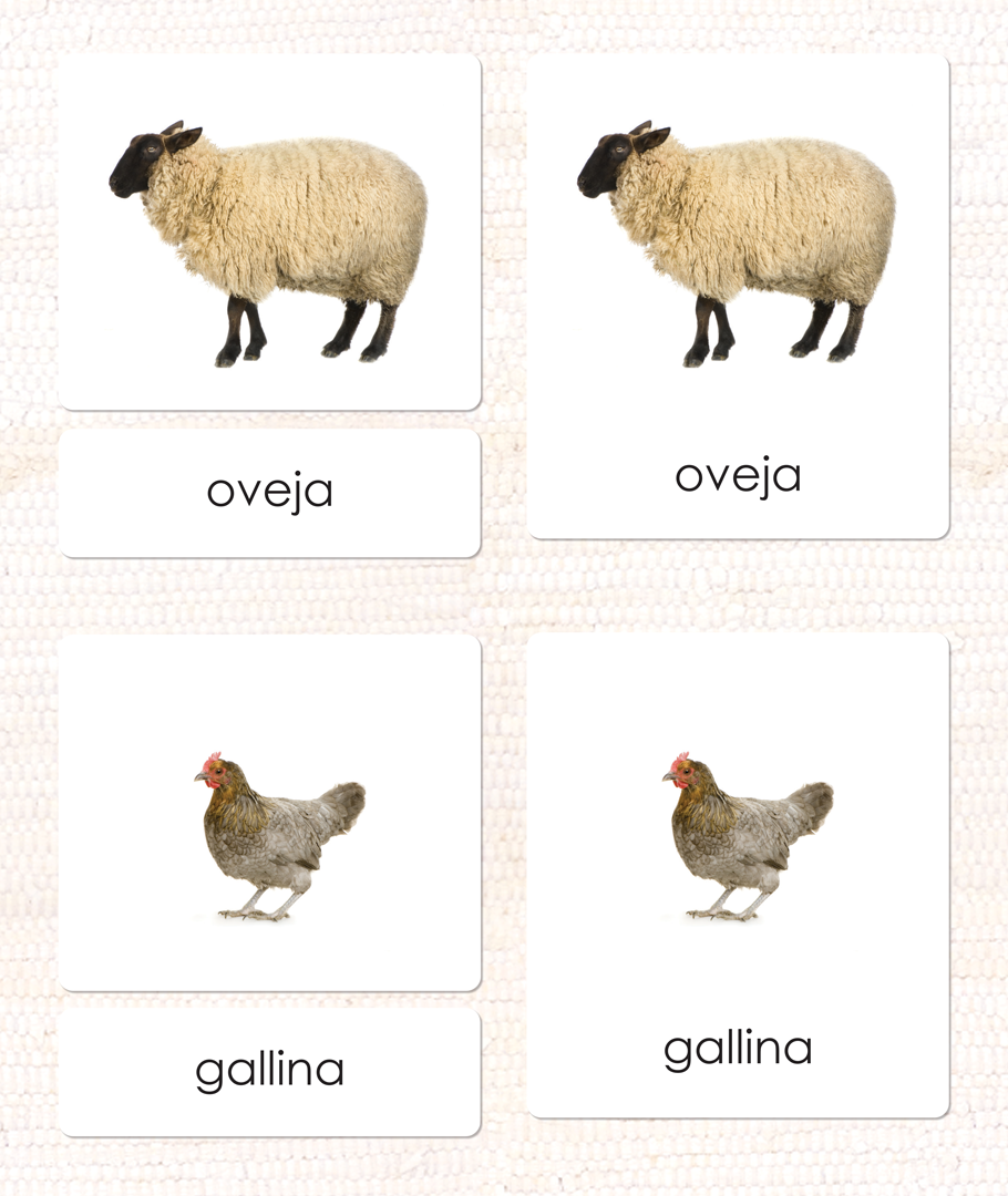 Imperfect Spanish Farm Animals (Adult) 3-Part Cards - Maitri Learning