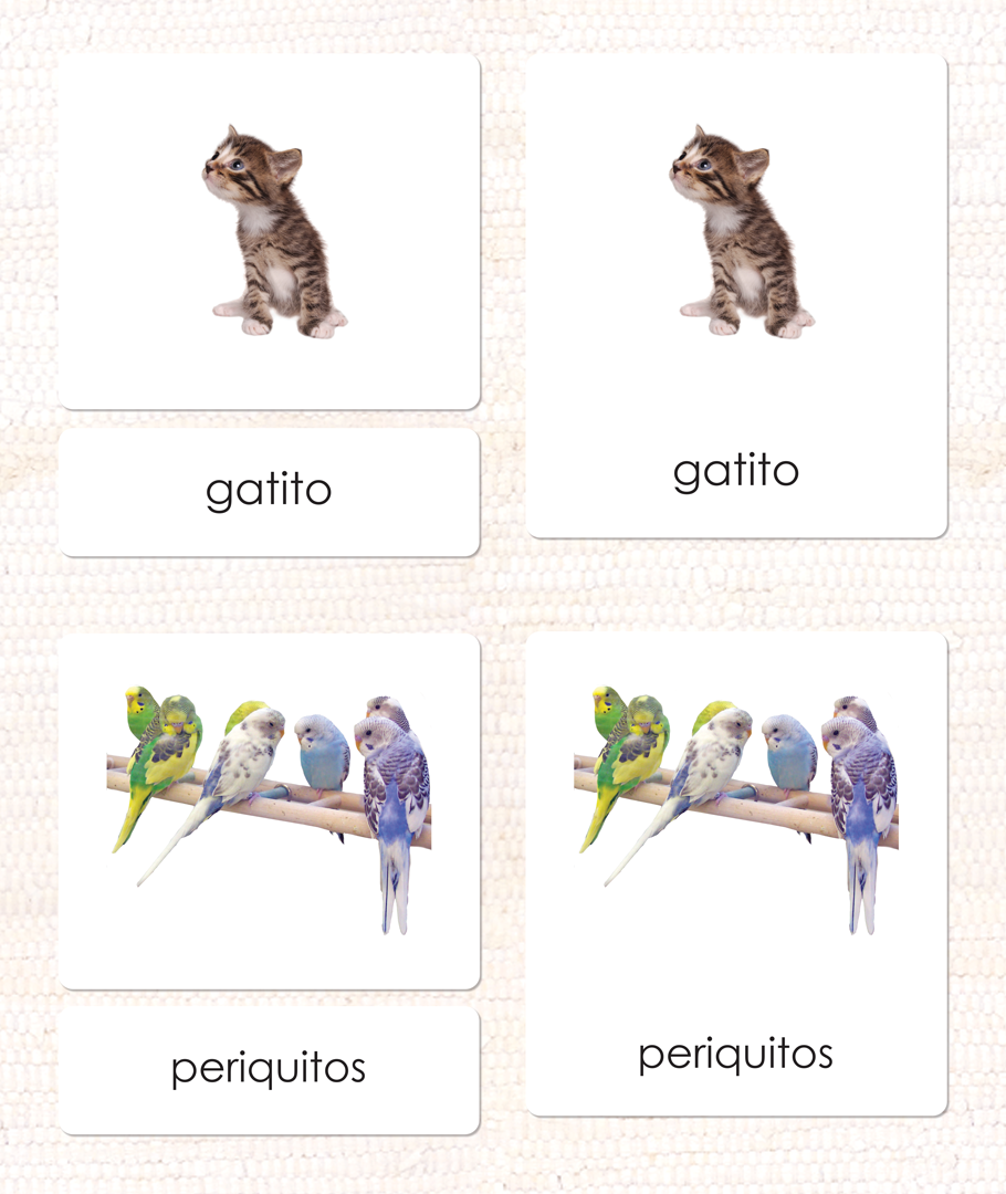 Spanish Pets 3-Part Cards - Maitri Learning