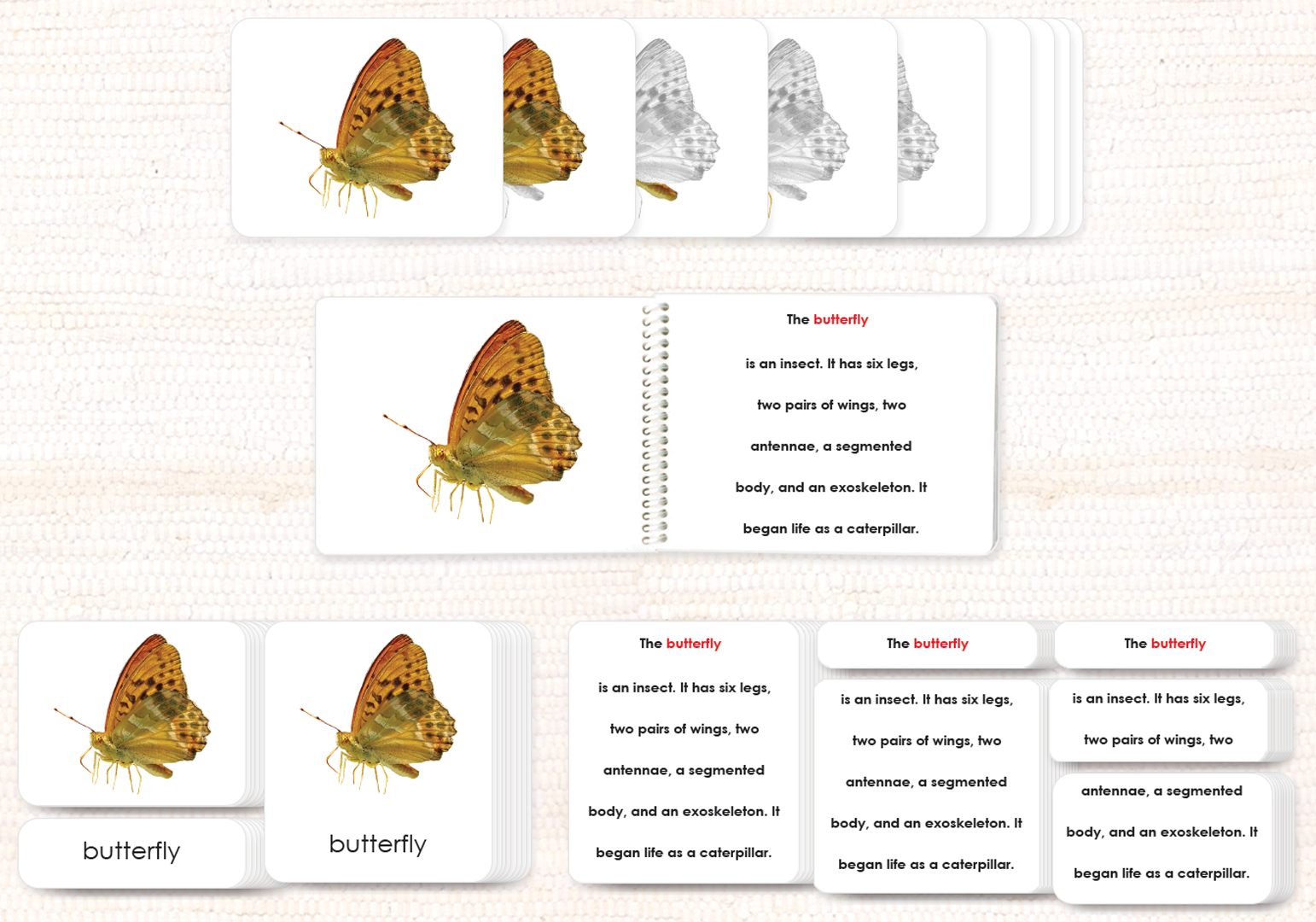 Parts of the Butterfly Book & Card Set - Maitri Learning