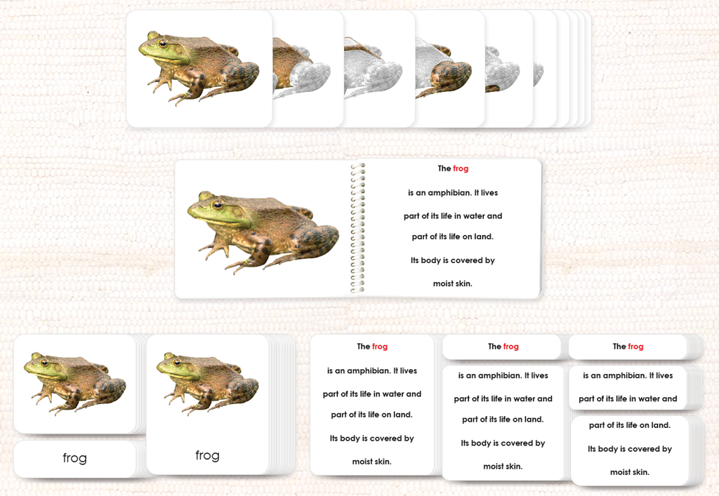 I TOAD YOU SO! FUNNY FROG GIFTS Greeting Card for Sale by