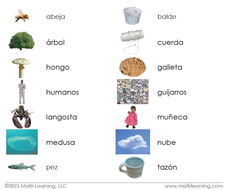 Living/Non-Living Sorting - Maitri Learning