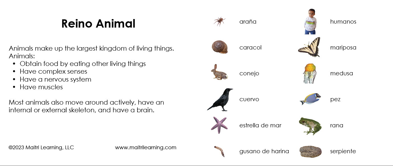 Spanish Animal Kingdom 3-Part Cards - Maitri Learning