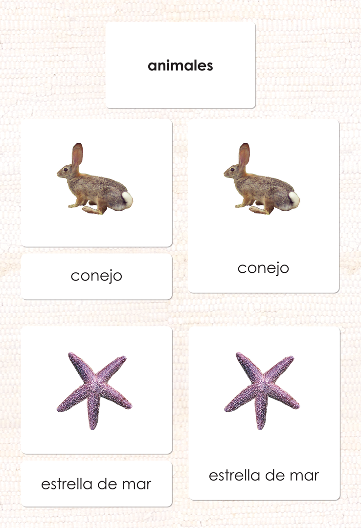 Spanish Animal Kingdom 3-Part Cards - Maitri Learning