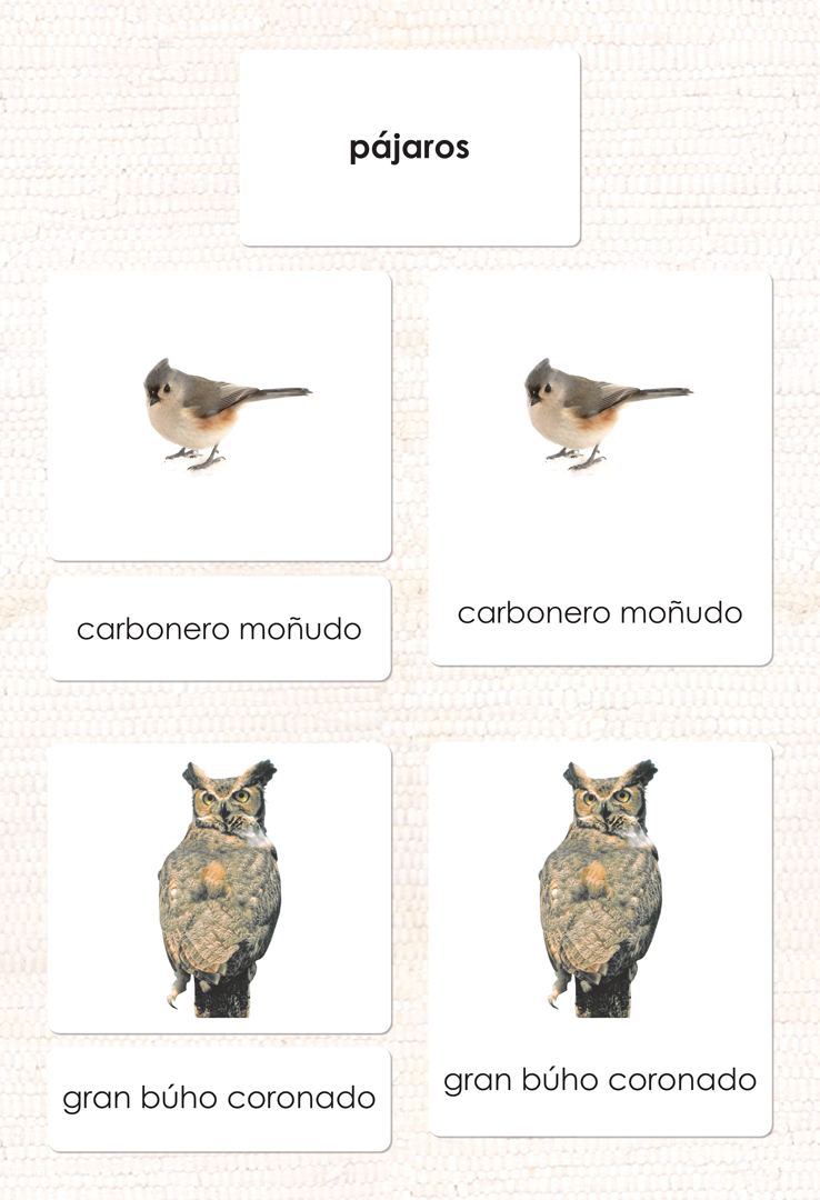 Spanish Birds 3-Part Cards - Maitri Learning