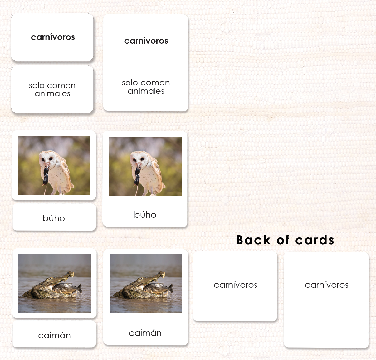 Spanish Carnivores, Herbivores & Omnivores - Maitri Learning
