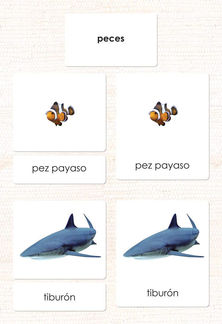 Spanish Fish 3-Part Cards - Maitri Learning