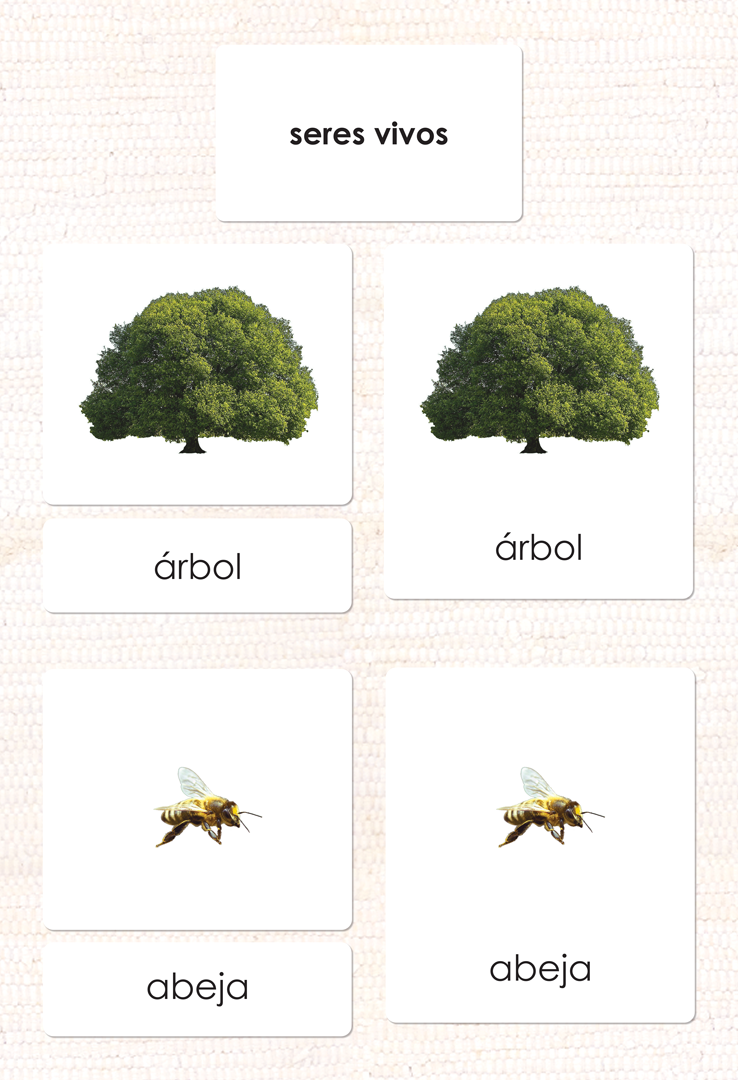 Spanish Living 3-Part Cards - Maitri Learning