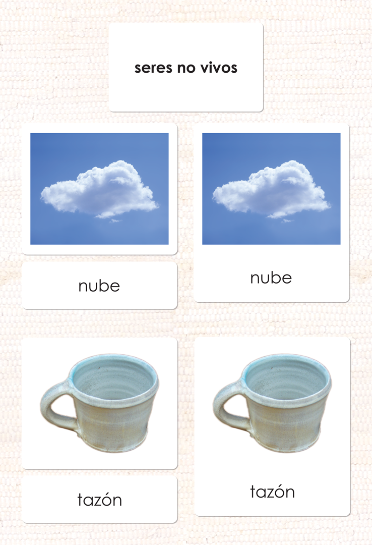 Spanish Non-Living 3-Part Cards - Maitri Learning