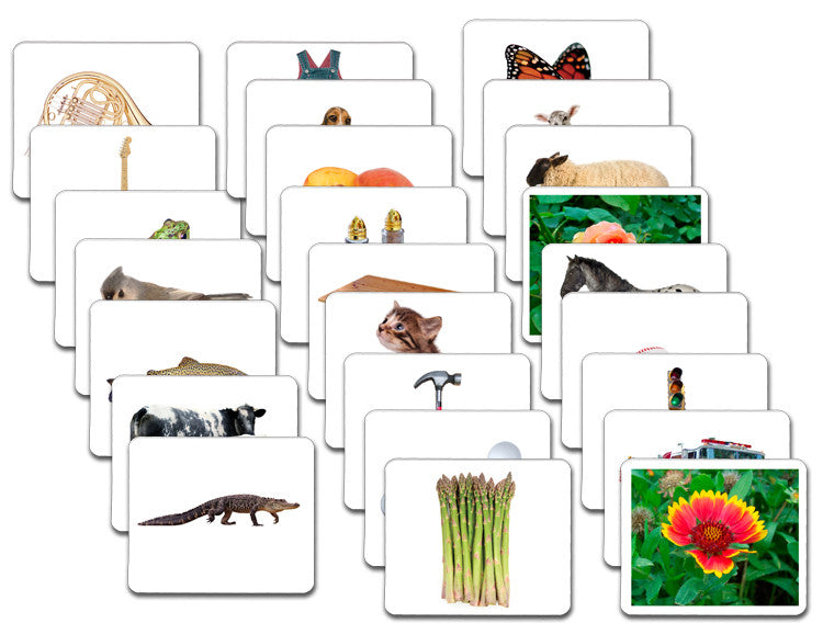 Vocabulary Card Set/26 - Maitri Learning