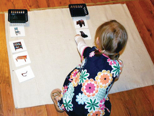 Around the House Vocabulary - Maitri Learning